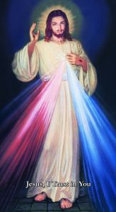 Chaplet of Divine Mercy Hyla New Prayer Card